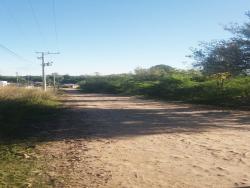 #13886 - Terreno para Venda em Santa Maria - RS - 1