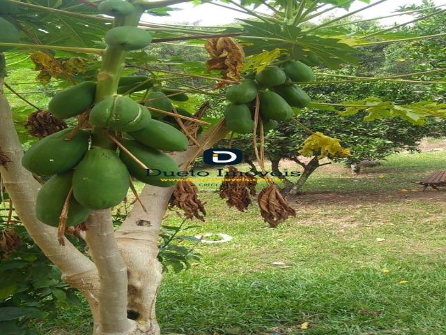 Sobrado para Venda em Itaara - 4