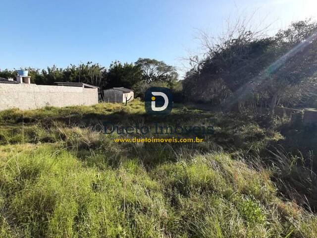 #100660 - Terreno para Venda em Santa Maria - RS - 1